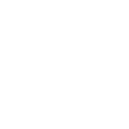 TikTok - Huckleberry